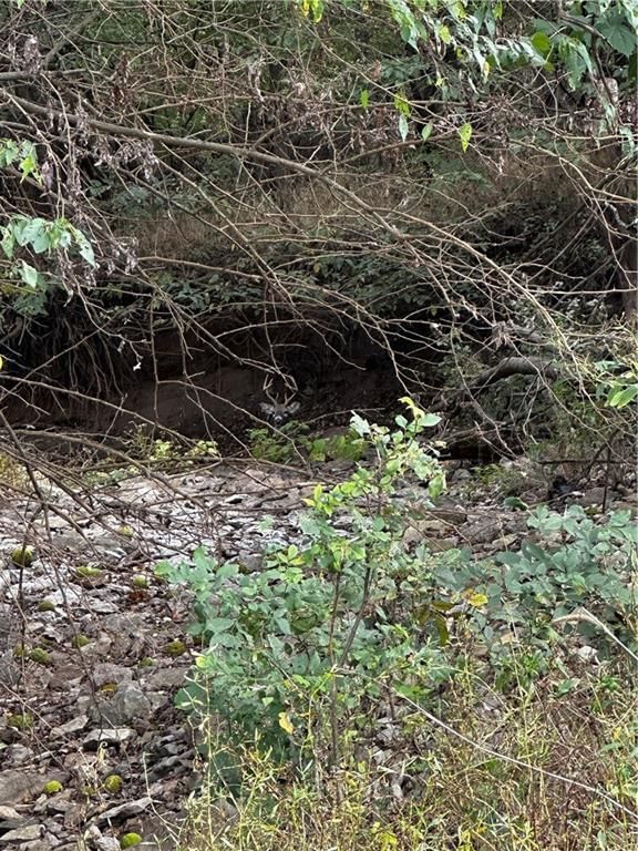 000 SE Virginia Road — photo 12