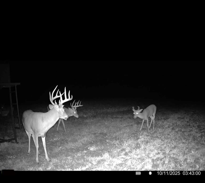 000 SE Virginia Road — photo 13
