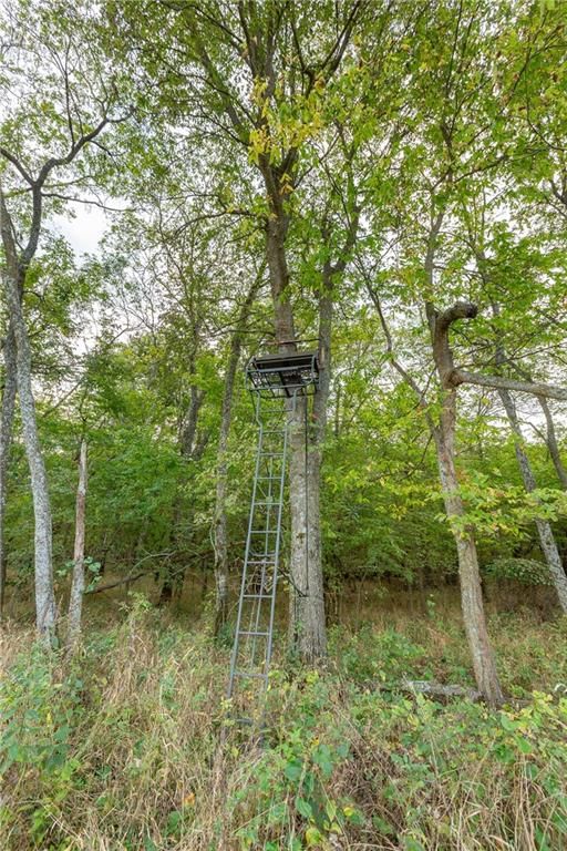 000 SE Virginia Road — photo 41