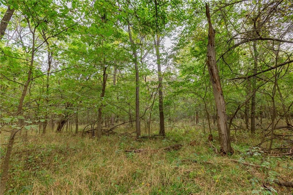000 SE Virginia Road — photo 55