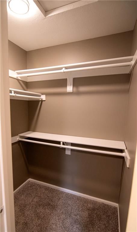 209 Williamsburg Drive — photo 19