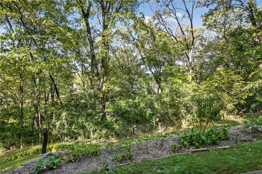 6159 Circle View Drive — photo 19