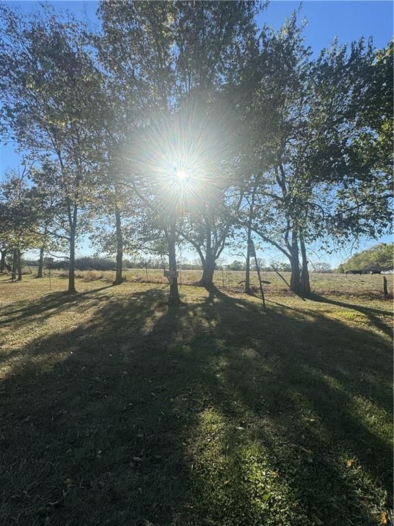 182 Walnut Creek Road — photo 37