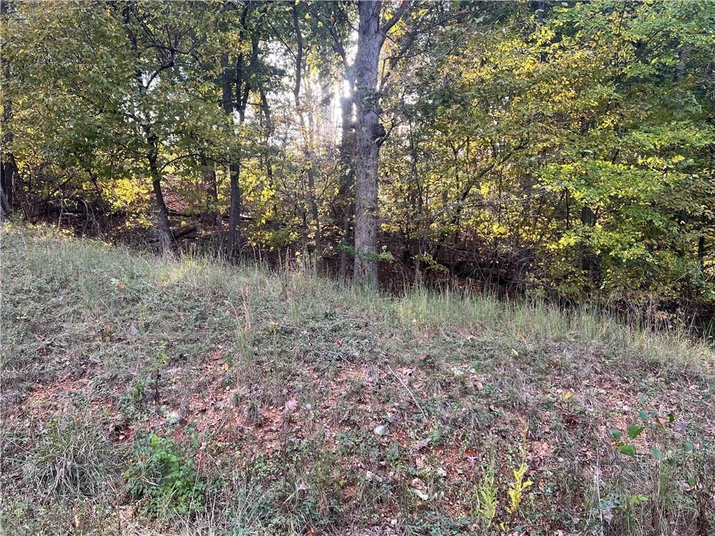 8,9,12 &SW 1/4 Red Hollow Road — photo 9