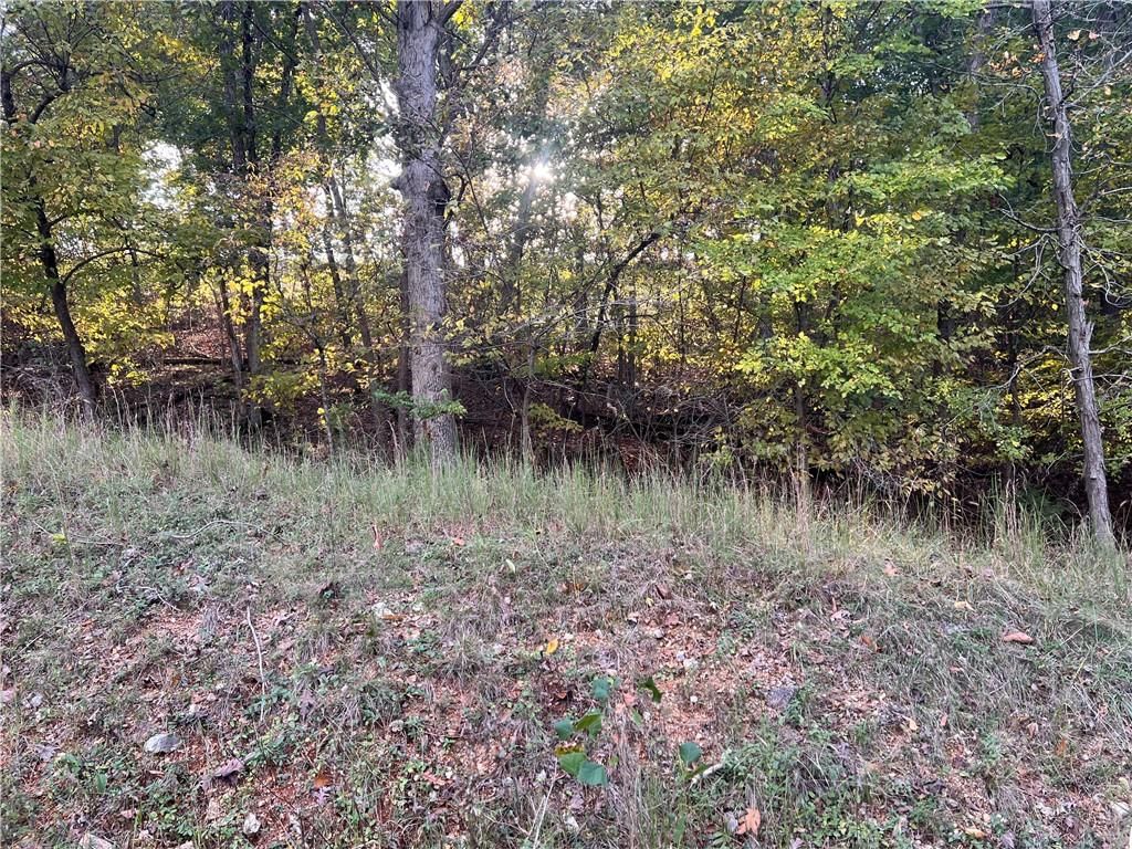 8,9,12 &SW 1/4 Red Hollow Road — photo 10