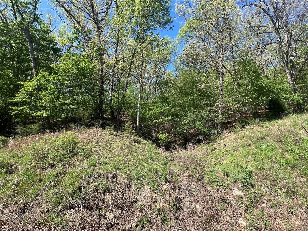 8,9,12 &SW 1/4 Red Hollow Road — photo 11