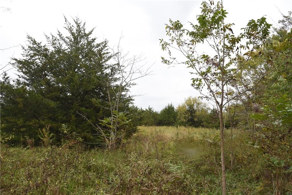 Quail Rd Road — photo 2