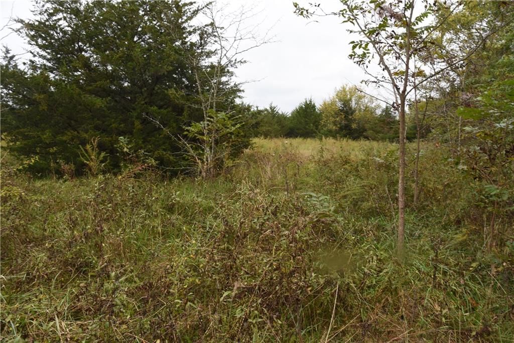 Quail Rd Road — photo 3