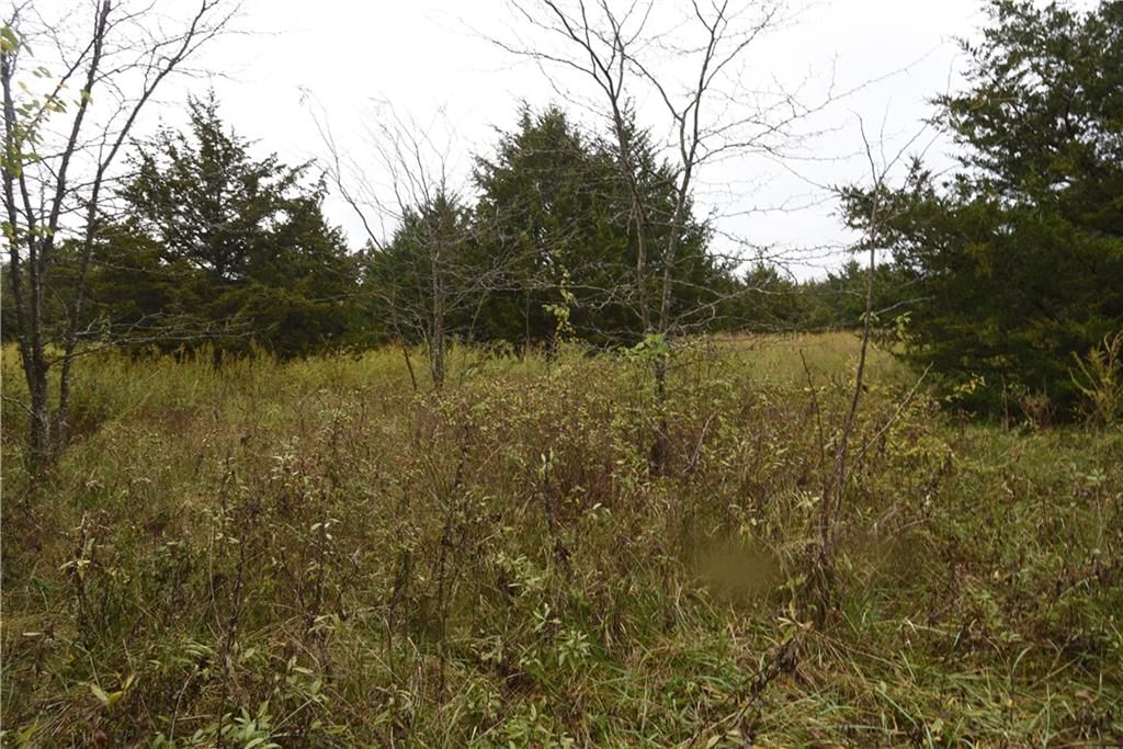 Quail Rd Road — photo 4