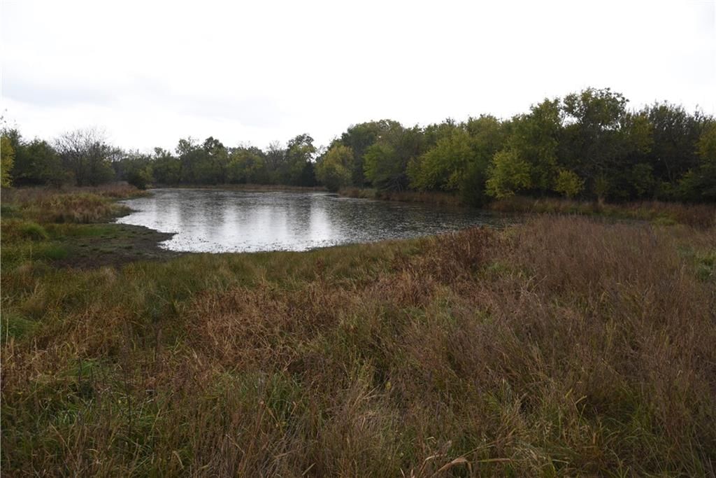 Quail Rd Road — photo 10