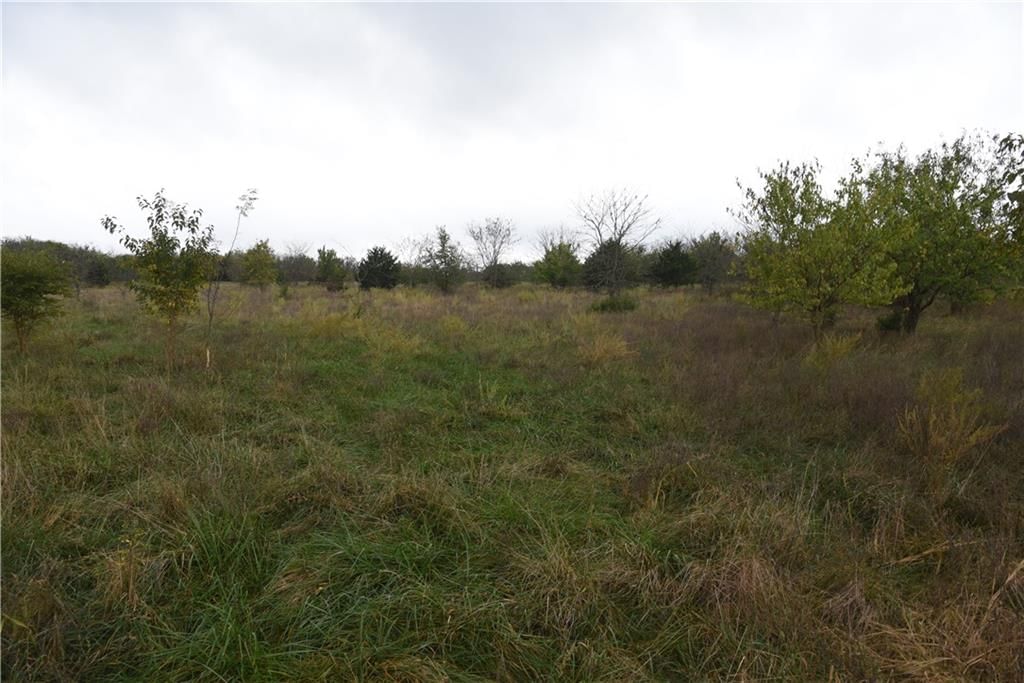Quail Rd Road — photo 11