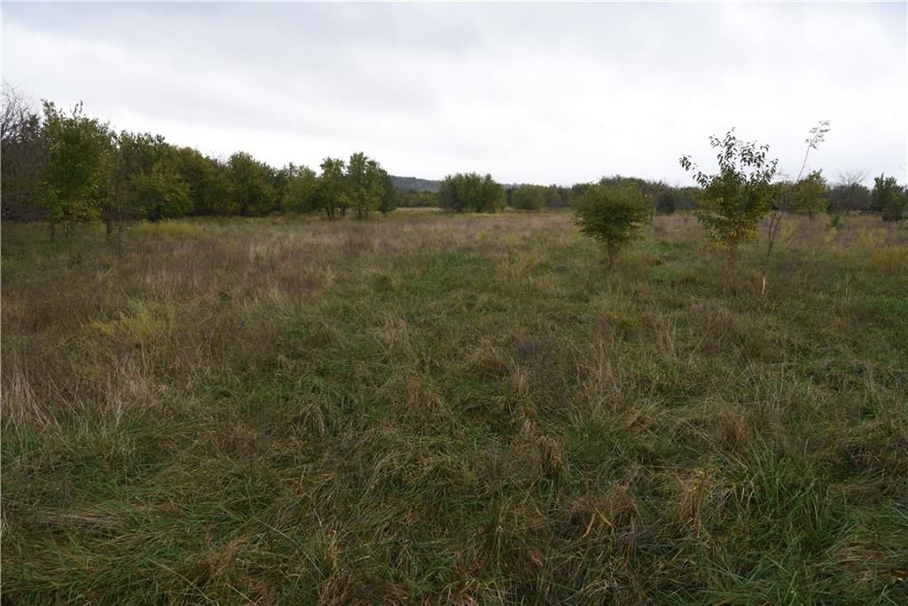 Quail Rd Road — photo 12