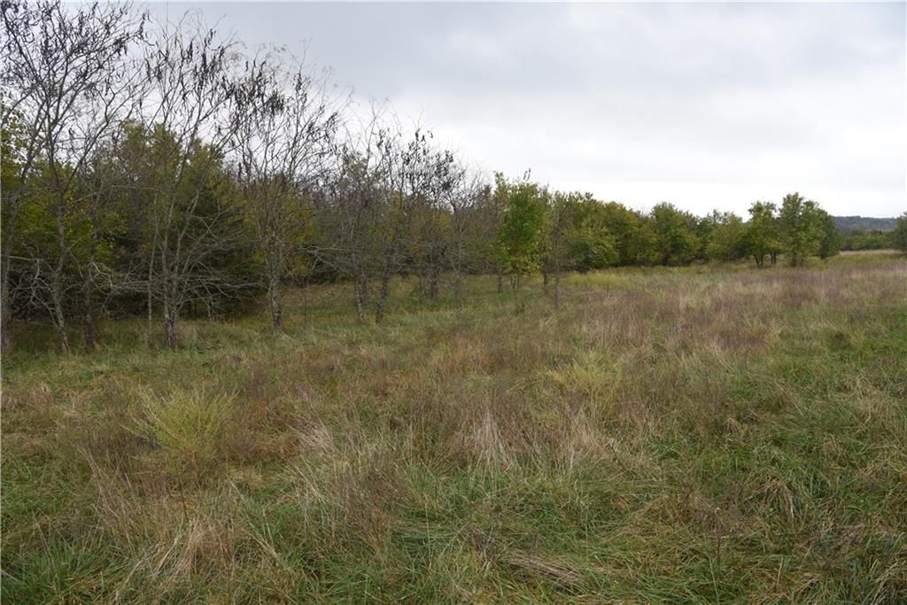 Quail Rd Road — photo 13