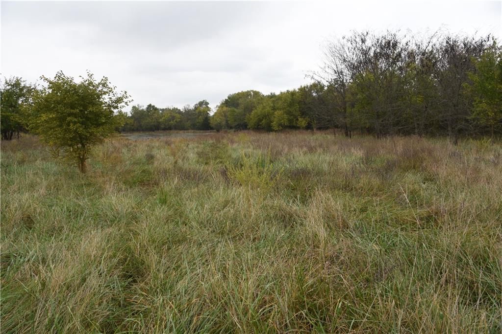 Quail Rd Road — photo 20