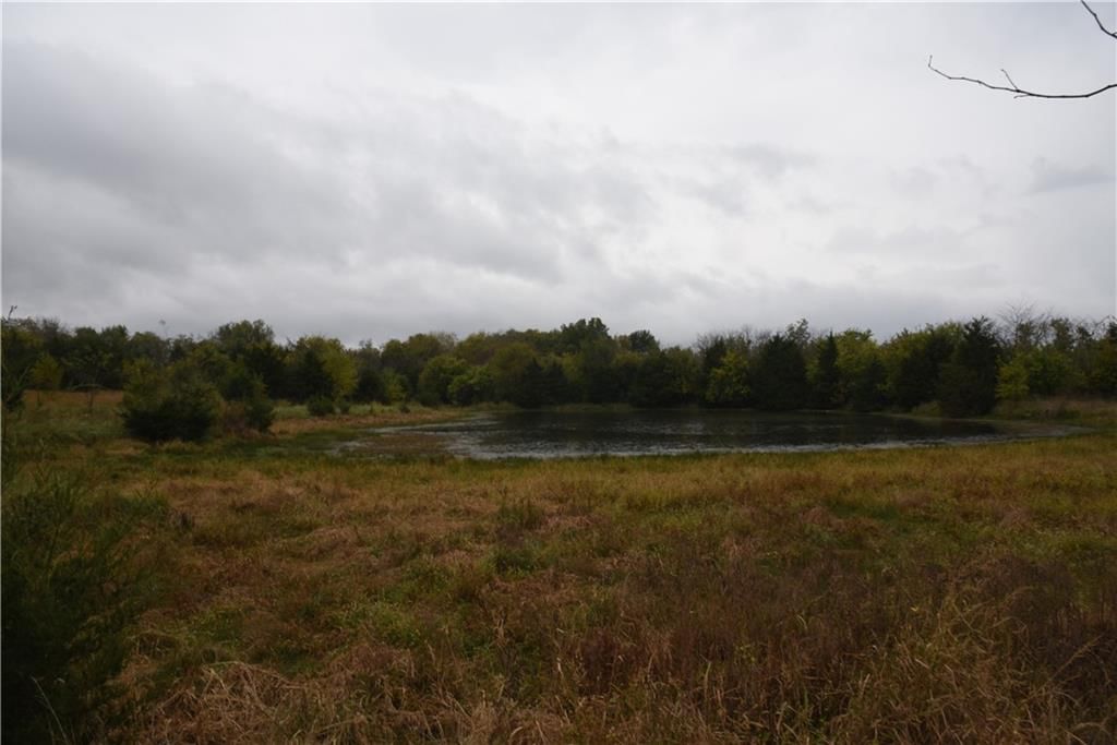 Quail Rd Road — photo 22