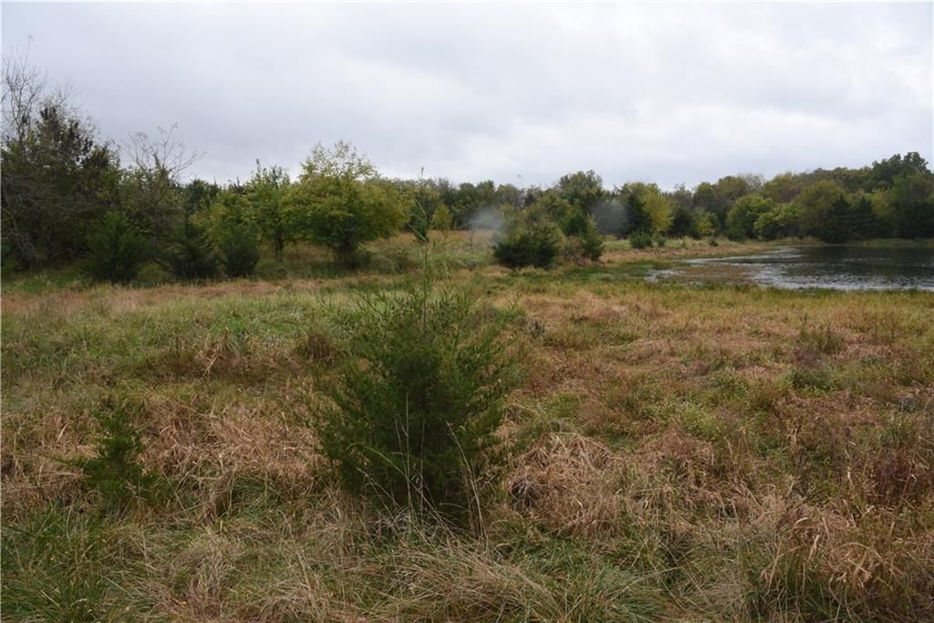 Quail Rd Road — photo 24