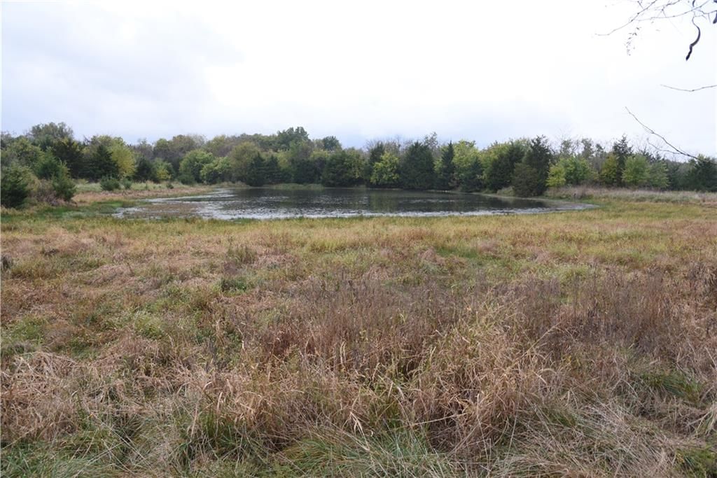 Quail Rd Road — photo 30