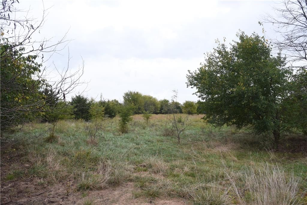 Quail Rd Road — photo 31
