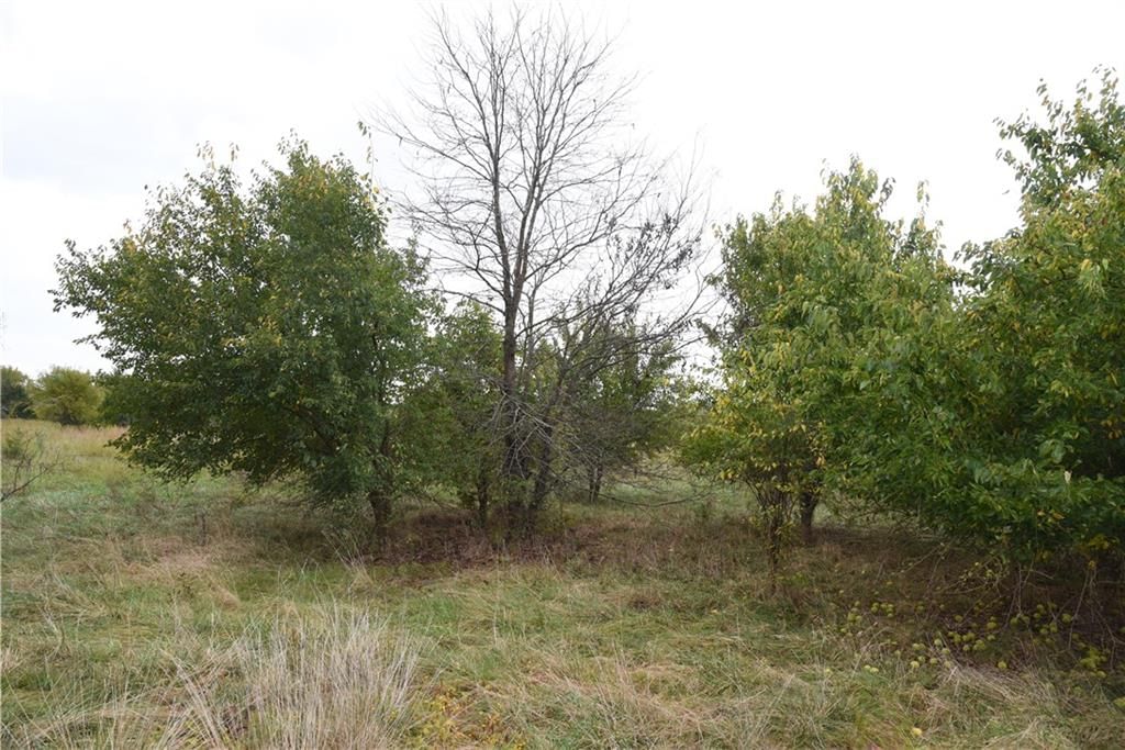 Quail Rd Road — photo 32