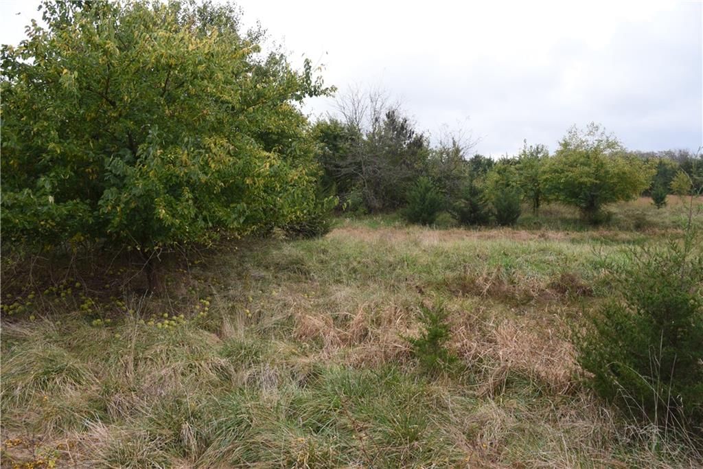 Quail Rd Road — photo 33