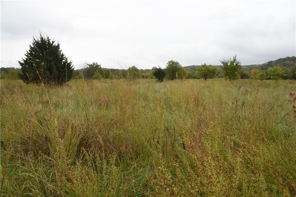 Quail Rd Road — photo 34
