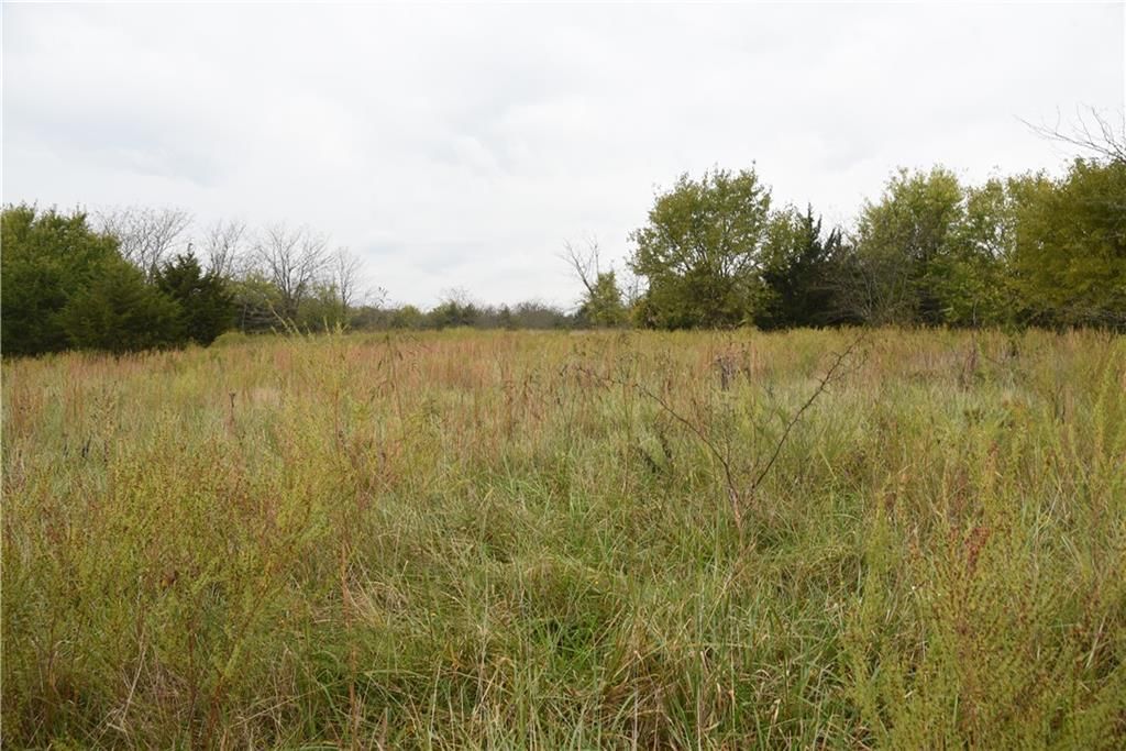 Quail Rd Road — photo 35