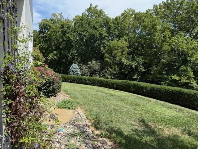 1564 Fountain Drive — photo 38