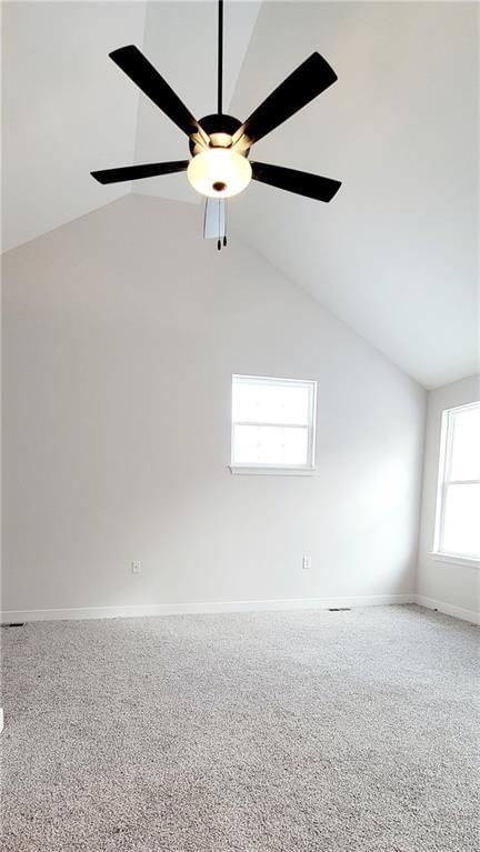 707 Mahogany Court — photo 12