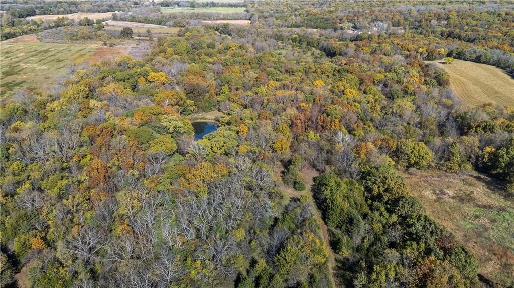 37690 US 169 Highway — photo 42