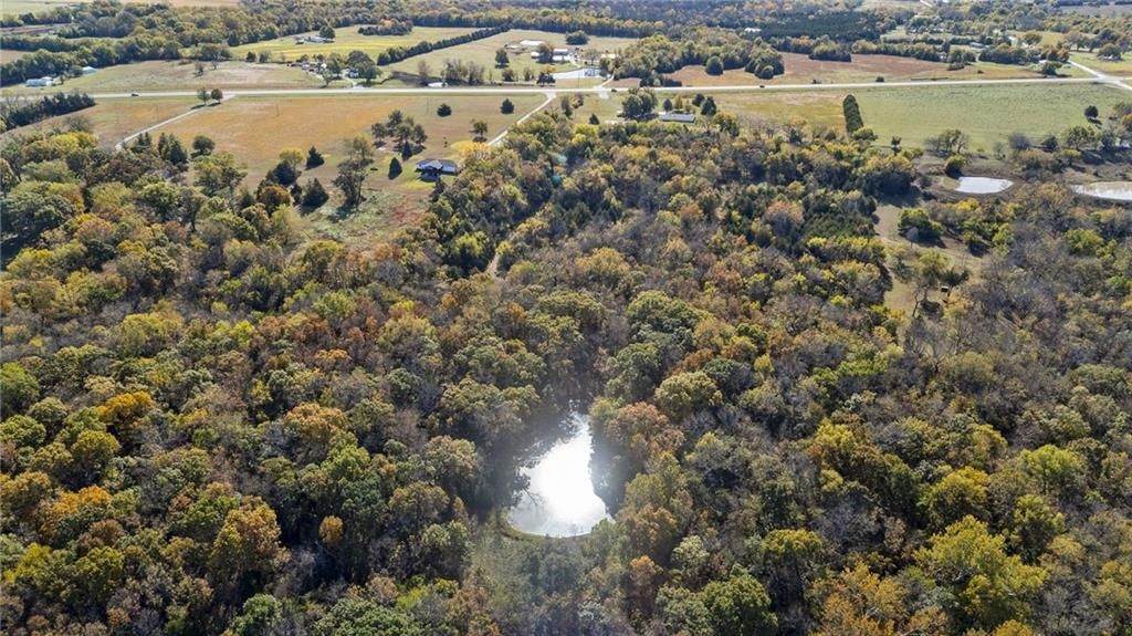 37690 US 169 Highway — photo 43