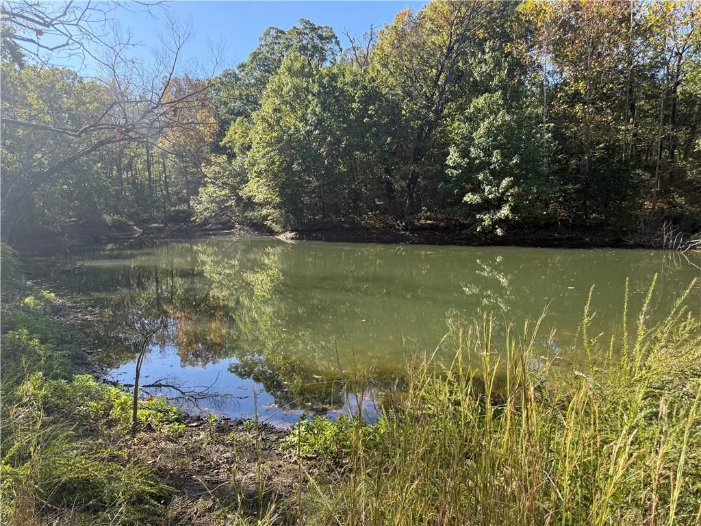 37690 US 169 Highway — photo 47
