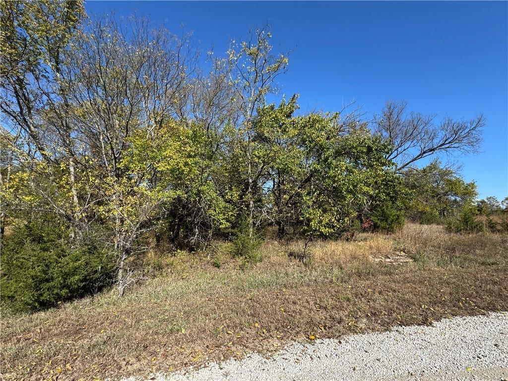 41 & 45 Illinois Drive — photo 5