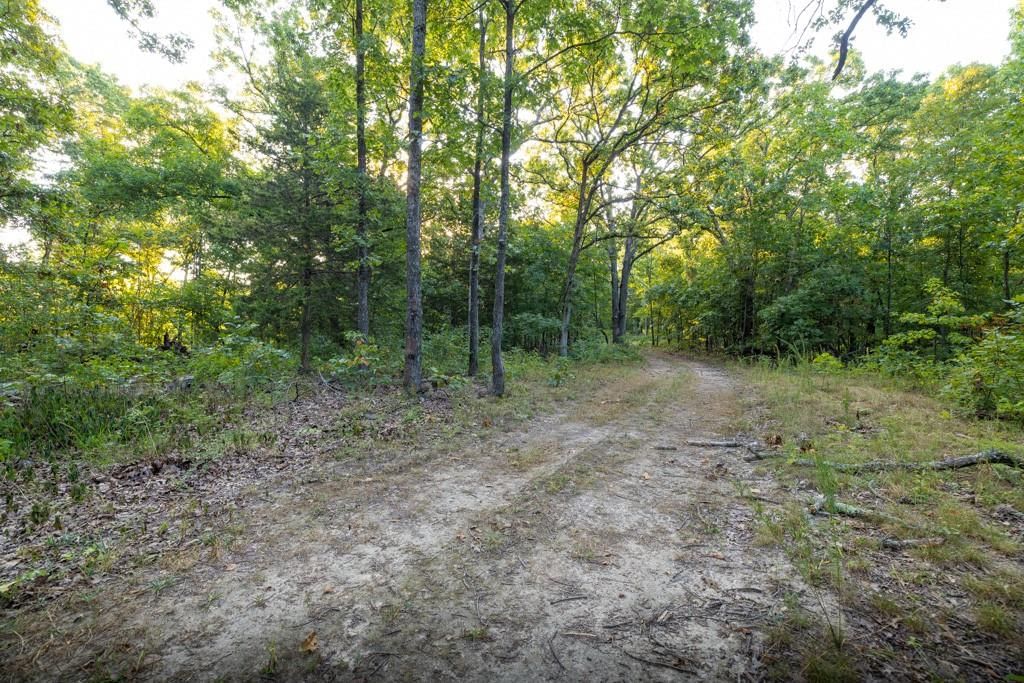 0000 Shooting Star Lane — photo 15