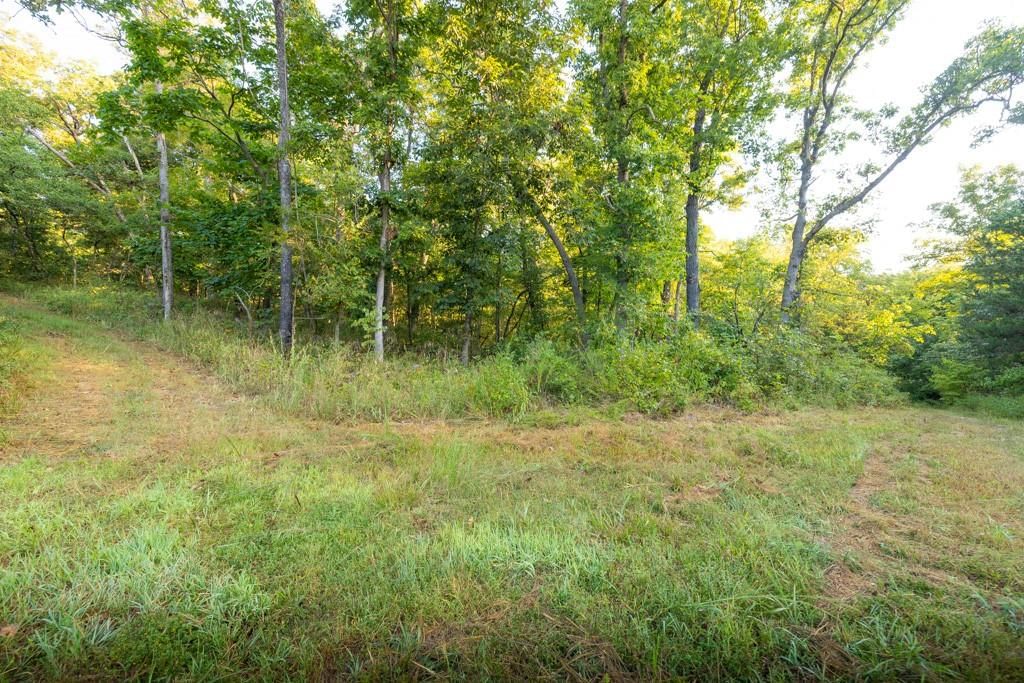 0000 Shooting Star Lane — photo 27