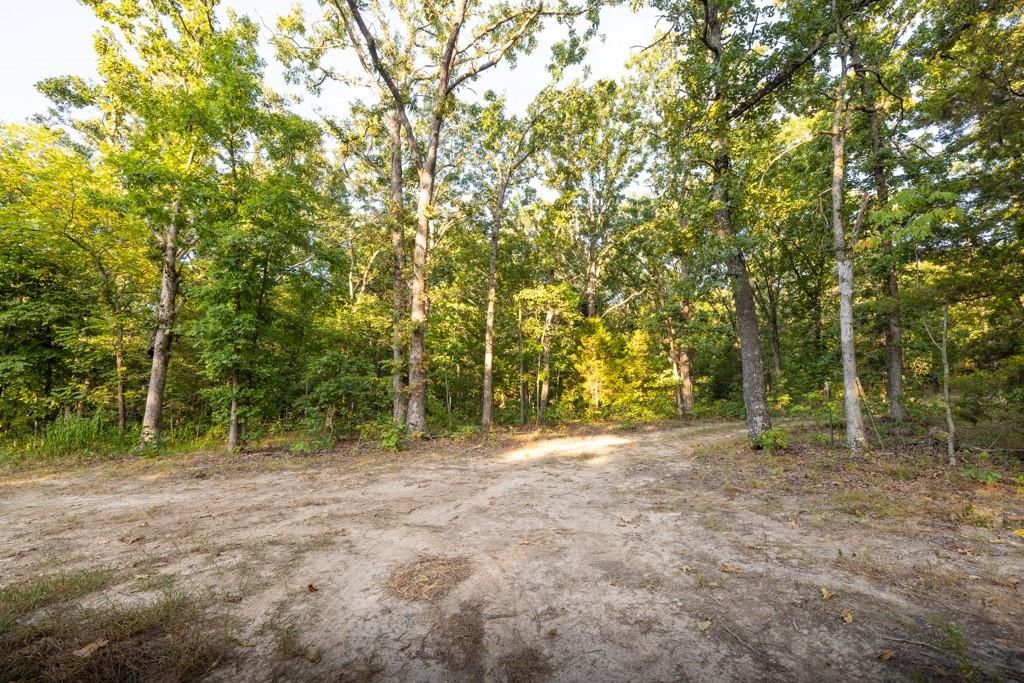0000 Shooting Star Lane — photo 32