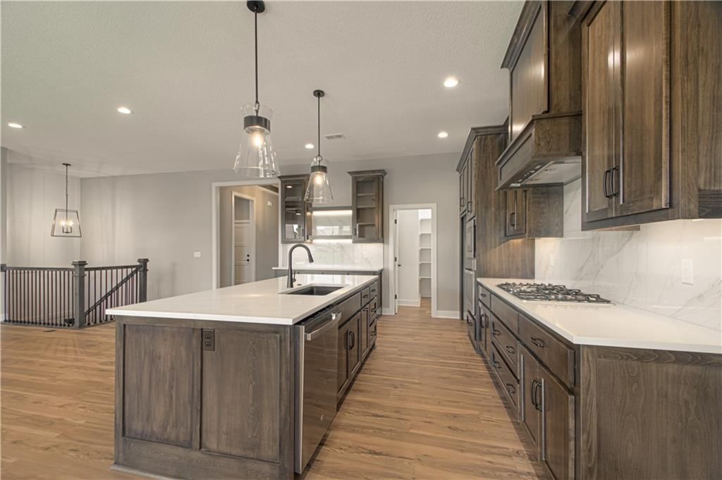 24953 W 145th Street — photo 18
