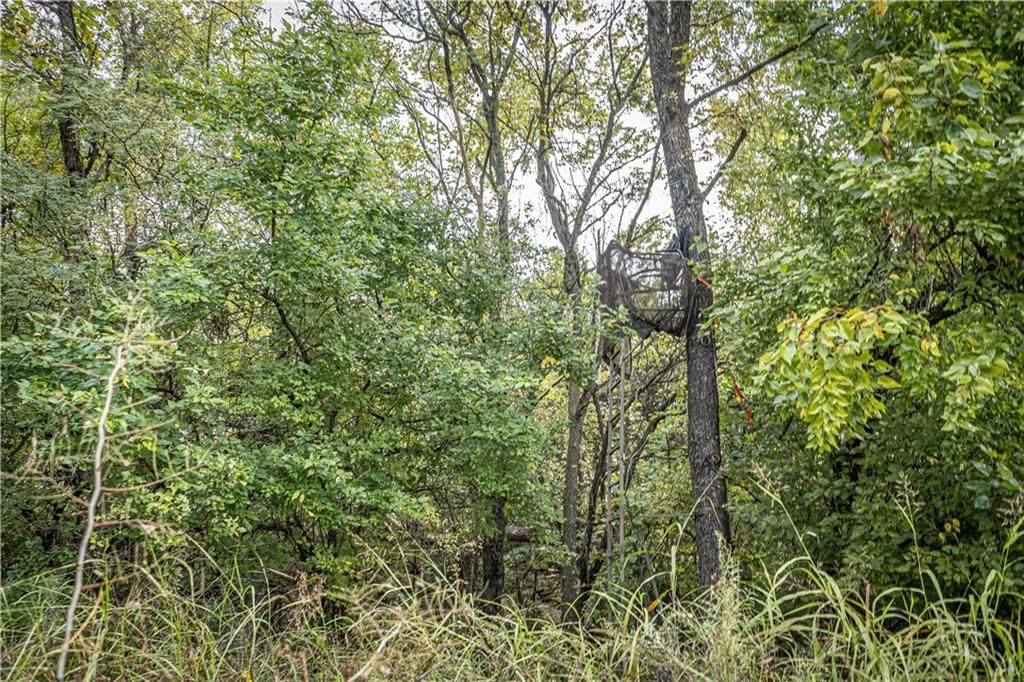 863 25 Road — photo 33