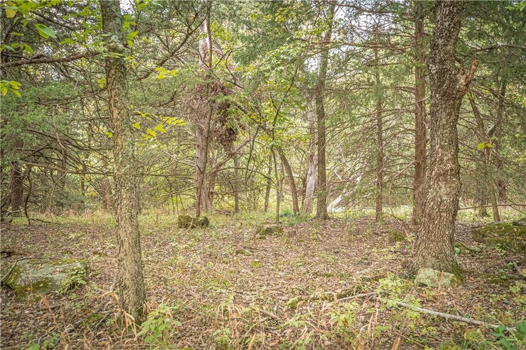 863 25 Road — photo 38