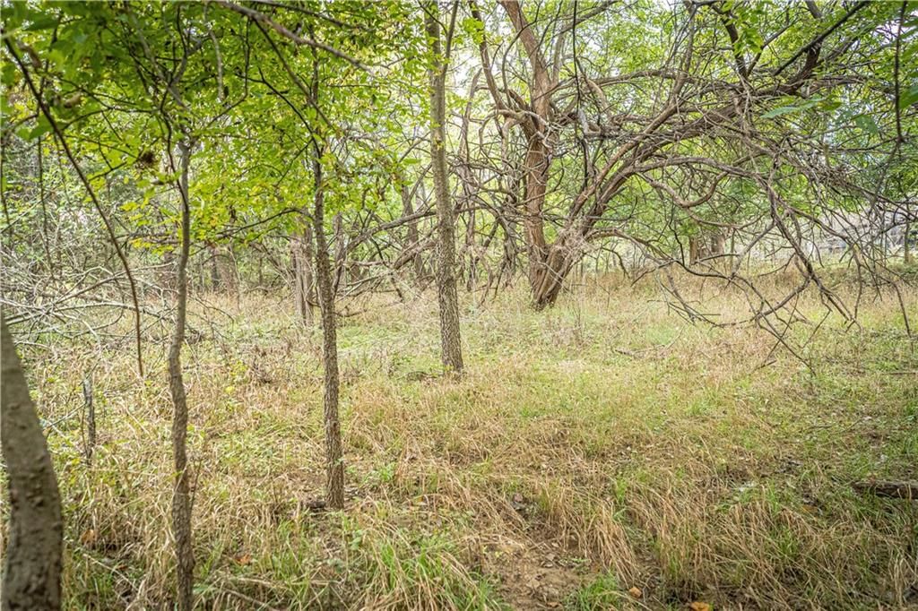 863 25 Road — photo 39