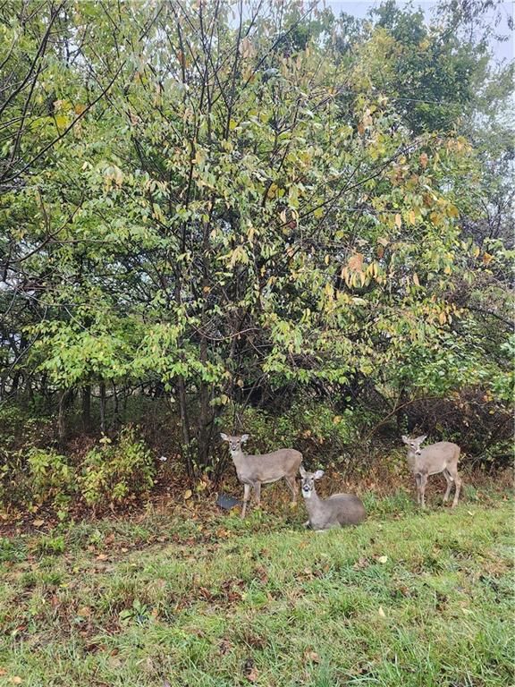 29 Ohio Drive — photo 4