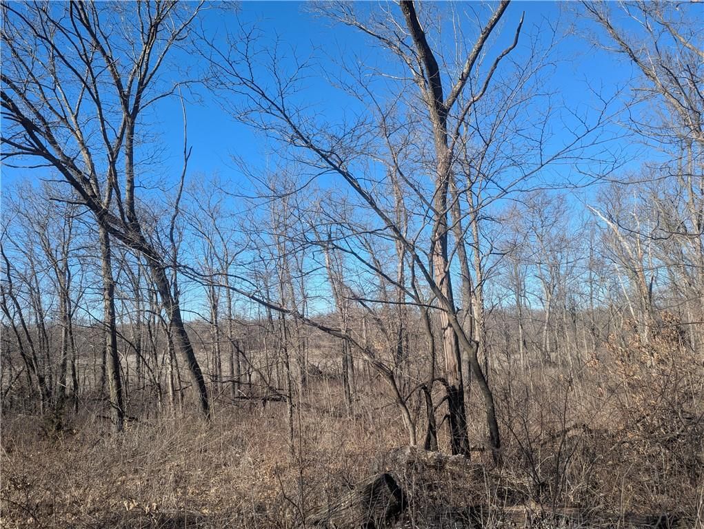 NE Mule Barn Road — photo 4