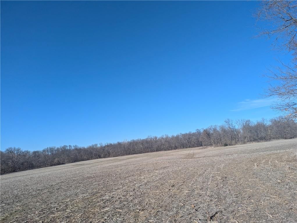NE Mule Barn Road — photo 5