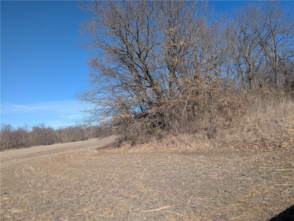 NE Mule Barn Road — photo 6