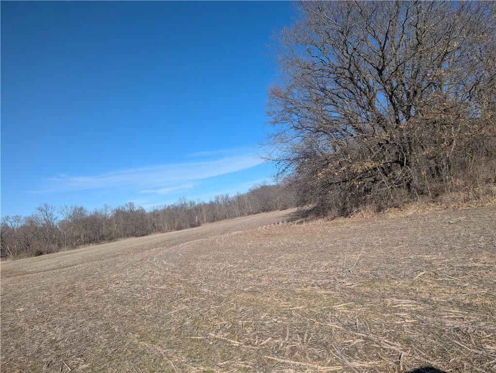 NE Mule Barn Road — photo 7
