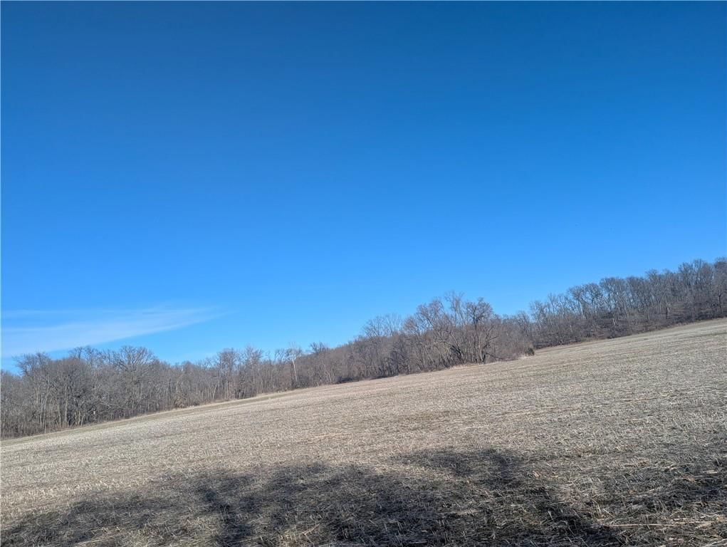NE Mule Barn Road — photo 10