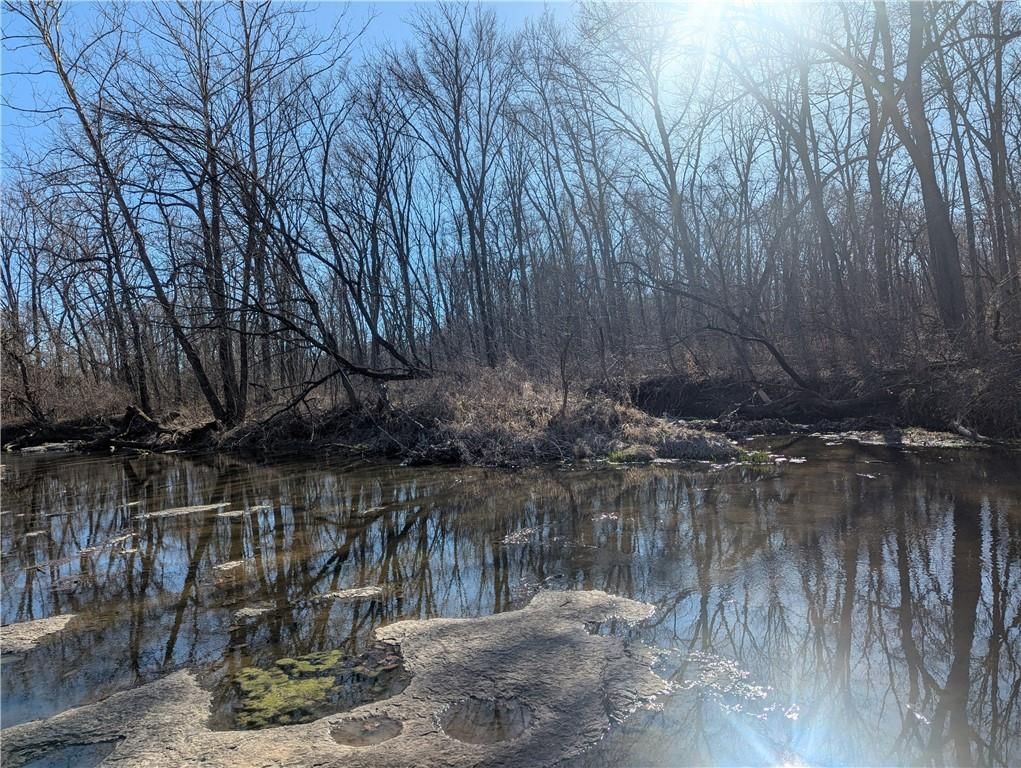 NE Mule Barn Road — photo 18
