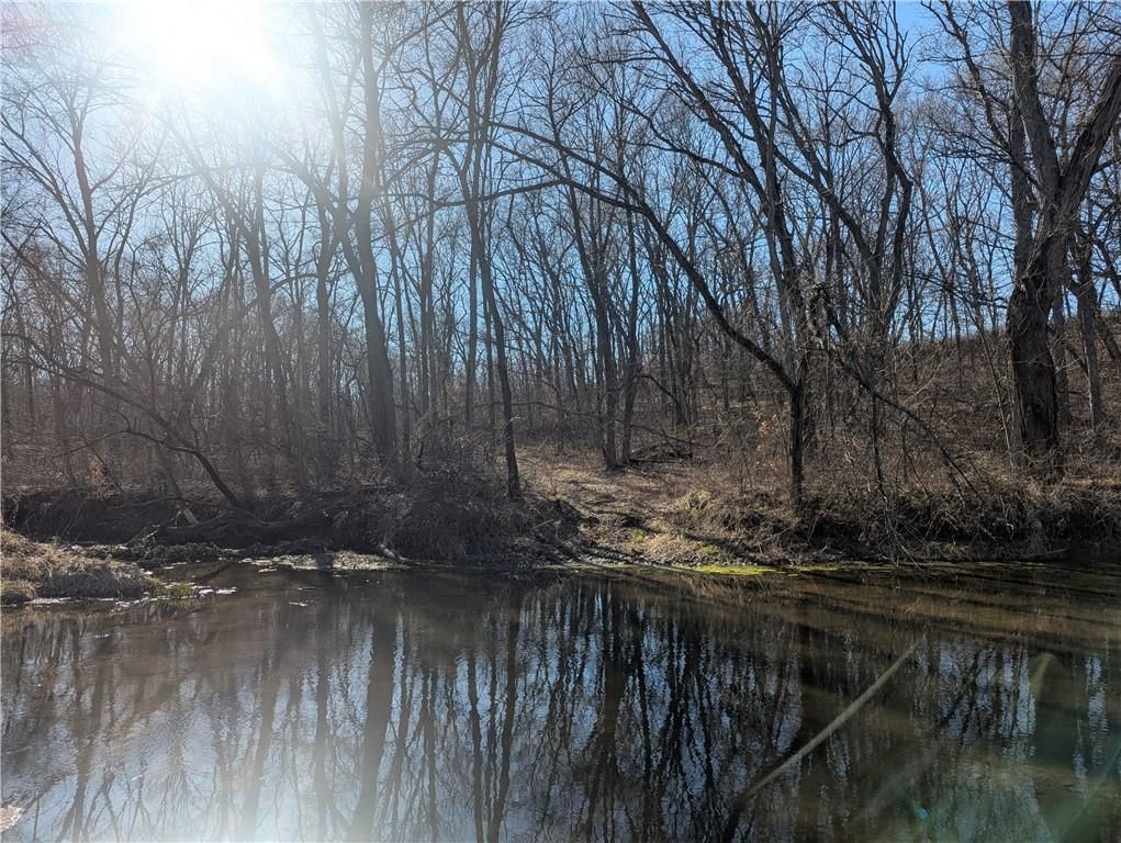 NE Mule Barn Road — photo 22
