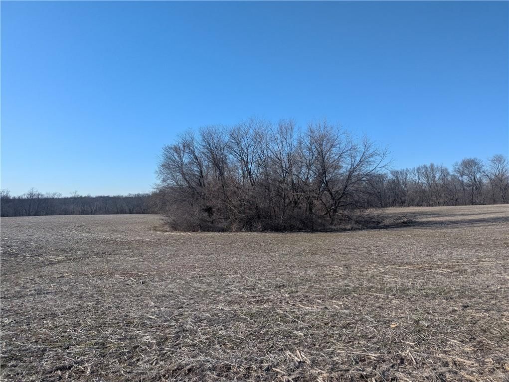 NE Mule Barn Road — photo 29