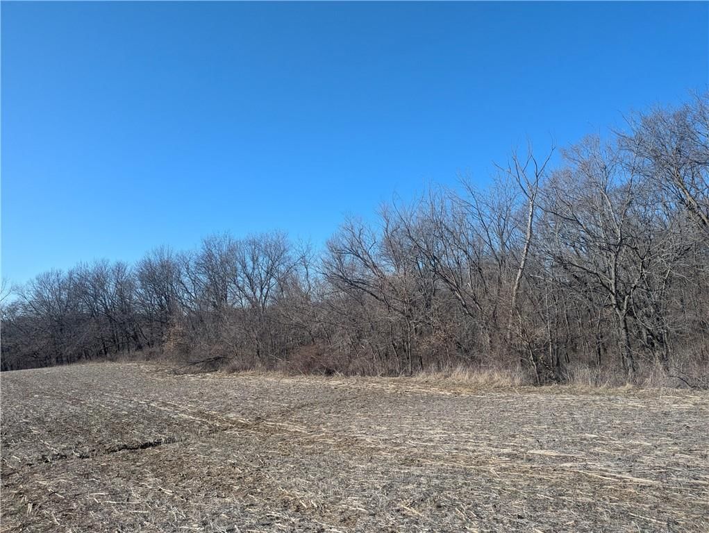 NE Mule Barn Road — photo 32