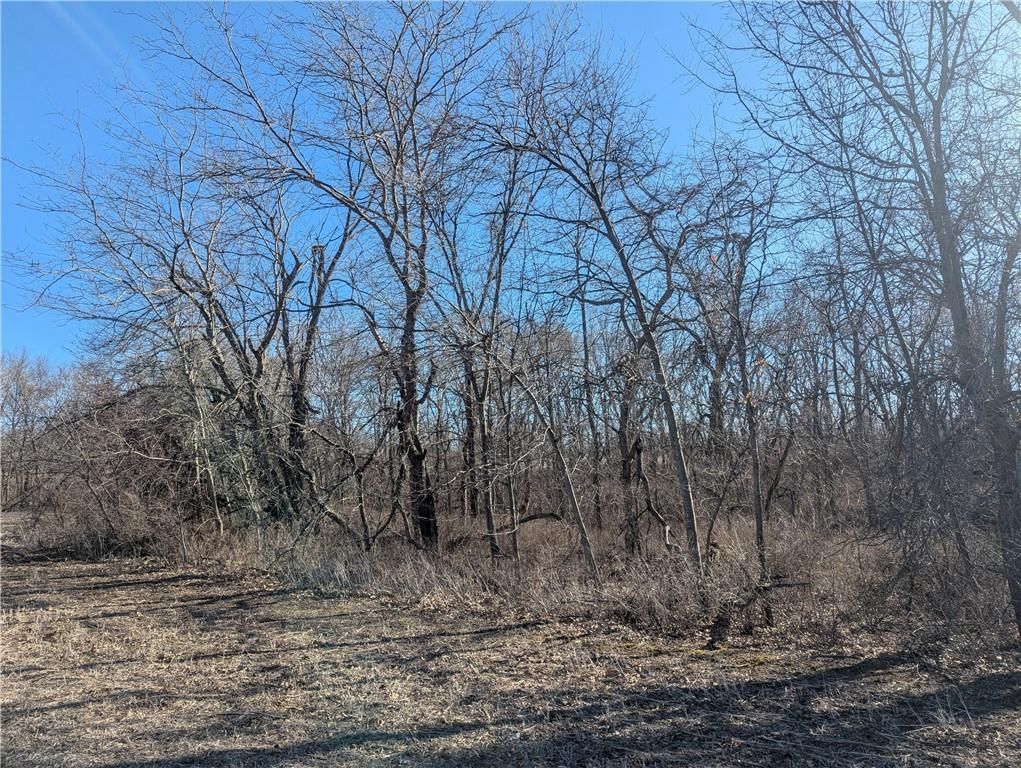 NE Mule Barn Road — photo 34